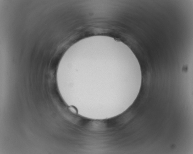 X0000113160327200910161250