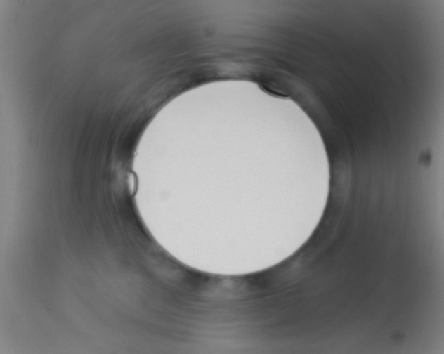 X0000113160329200910161250