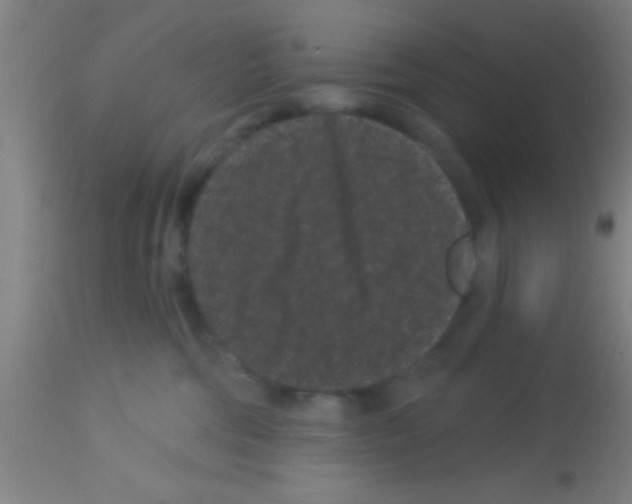 X0000113160330200910161250