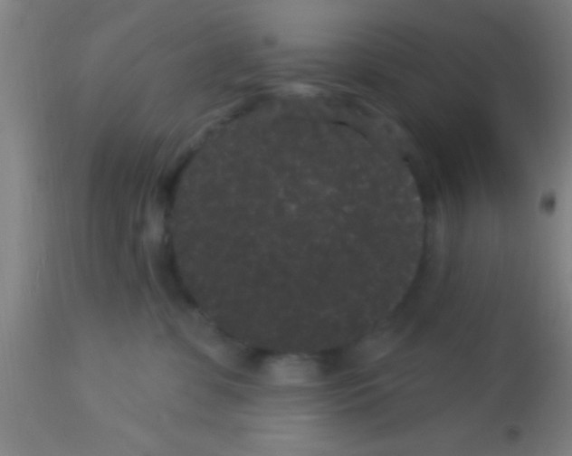 X0000113160331200910161250