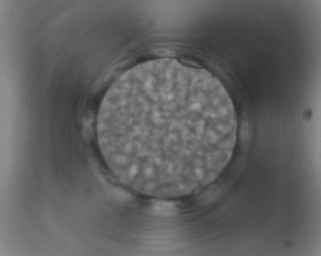 X0000113160332200910161250