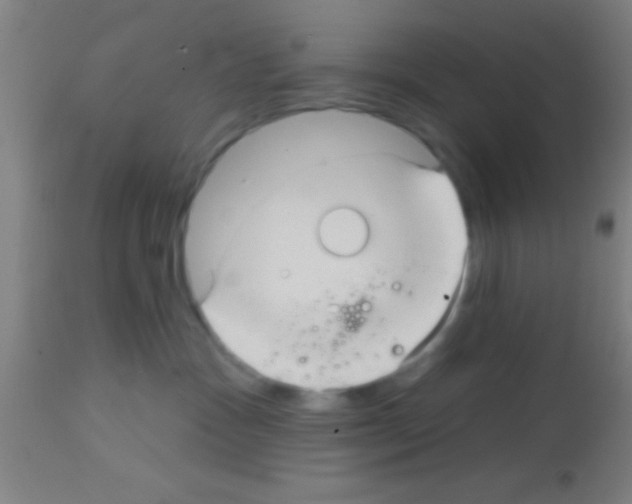 X0000113160333200910161250