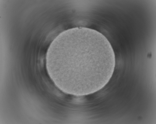 X0000113160334200910161250