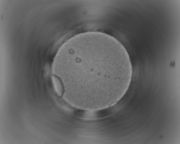 X0000113160335200910161250