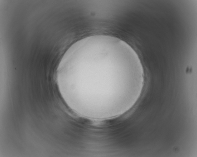 X0000113160336200910161250