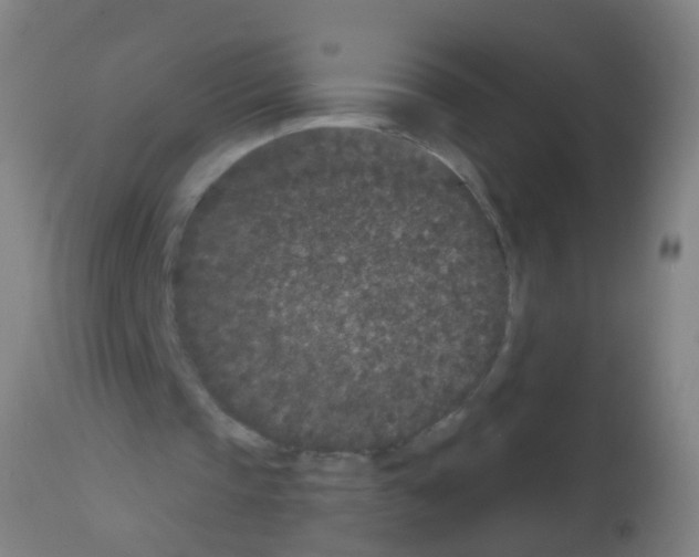 X0000113160337200910161249