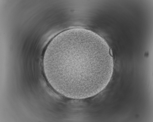 X0000113160338200910161249