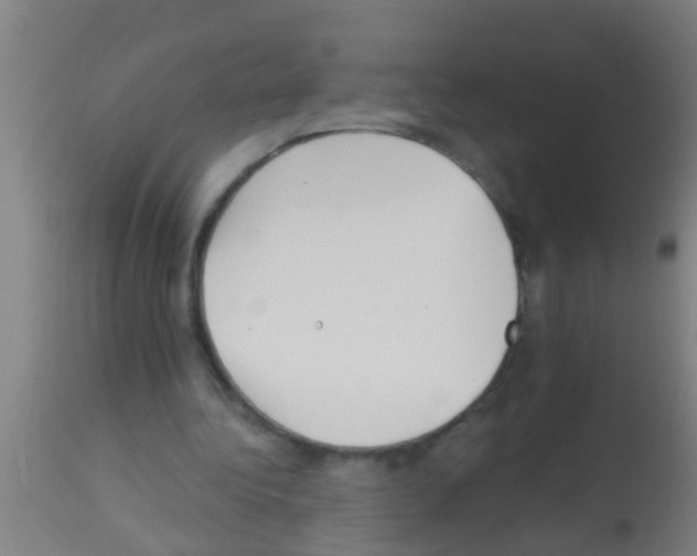 X0000113160340200910161249