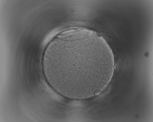 X0000113160341200910161249