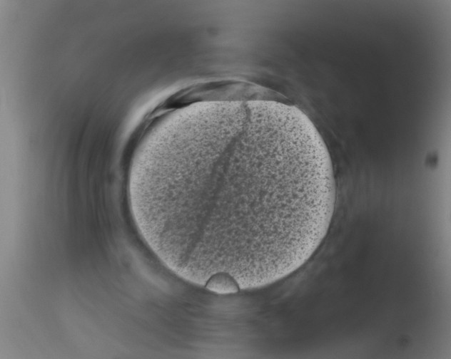 X0000113160342200910161249