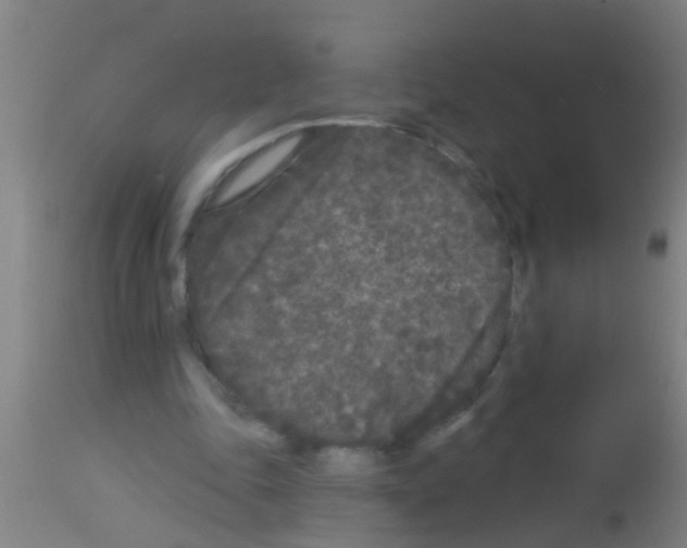 X0000113160343200910161249