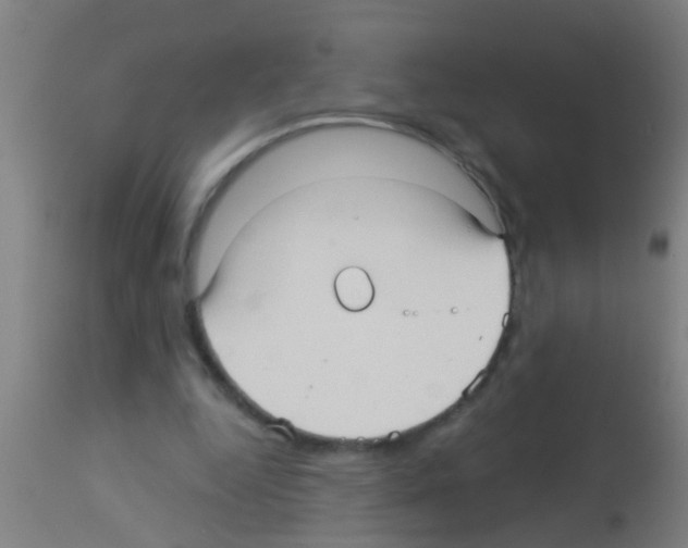 X0000113160344200910161249