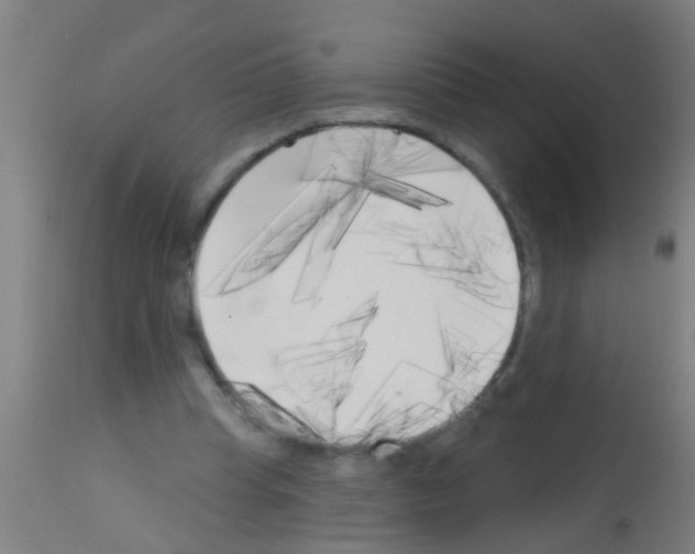 X0000113160345200910161249