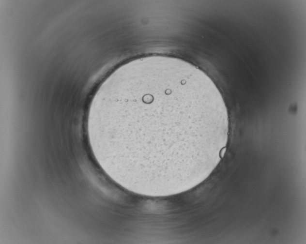 X0000113160346200910161249