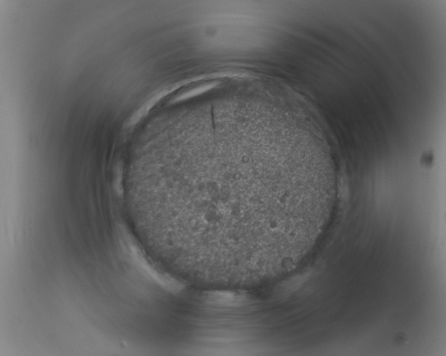 X0000113160347200910161249