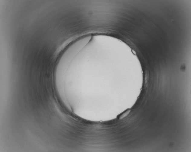 X0000113160348200910161249