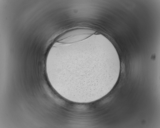 X0000113160349200910161249