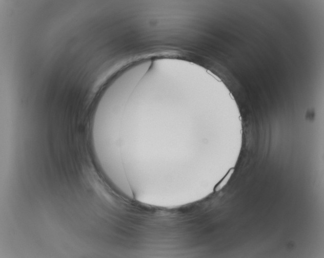 X0000113160350200910161249