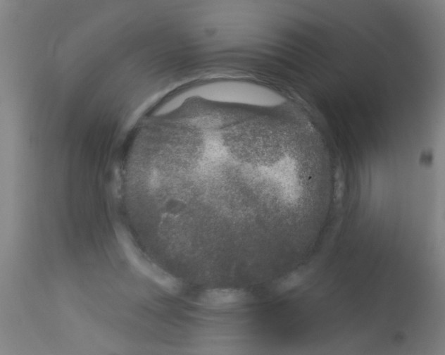 X0000113160351200910161249