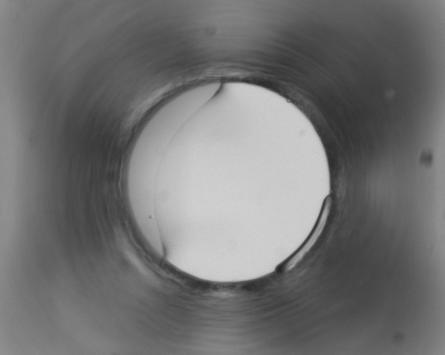 X0000113160352200910161249