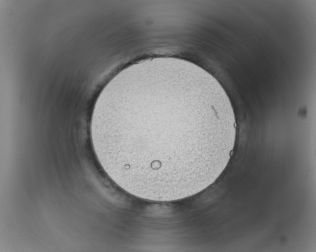 X0000113160354200910161249