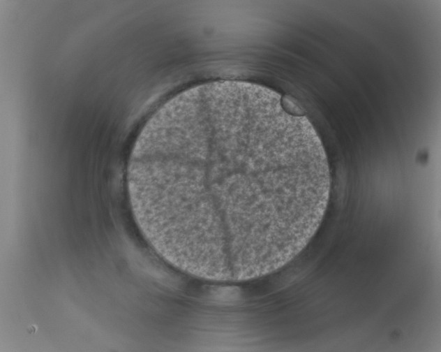 X0000113160355200910161249