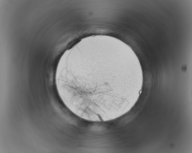 X0000113160358200910161249