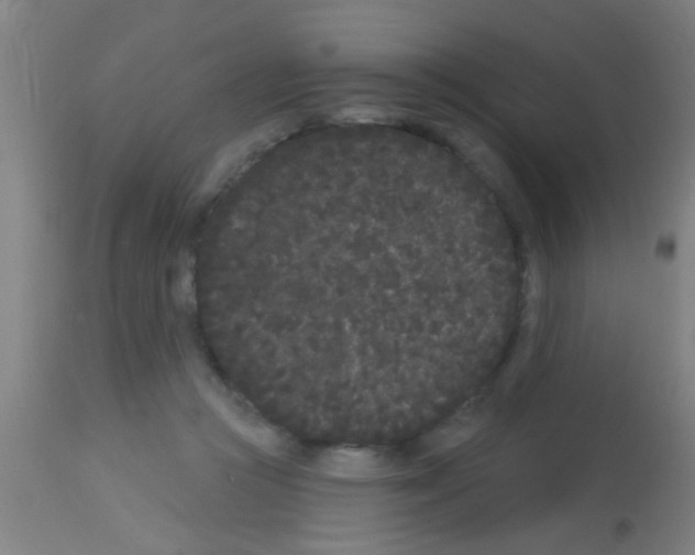 X0000113160361200910161249