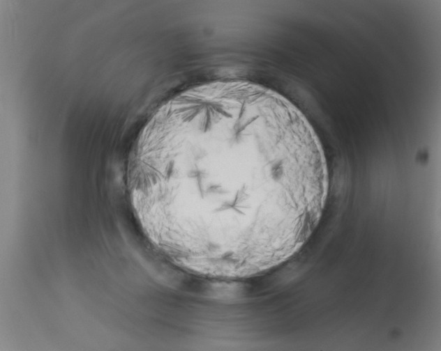 X0000113160363200910161249