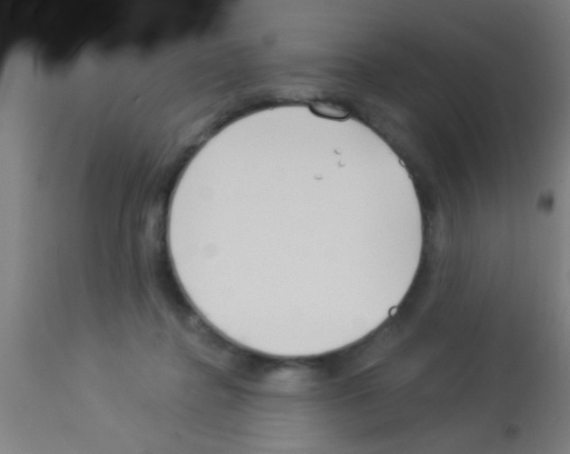 X0000113160364200910161250