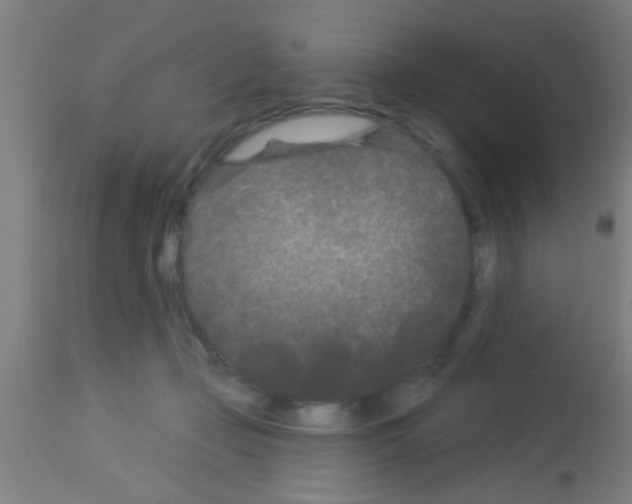 X0000113160365200910161250