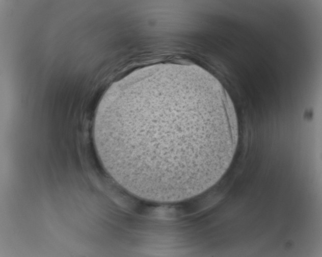 X0000113160366200910161250