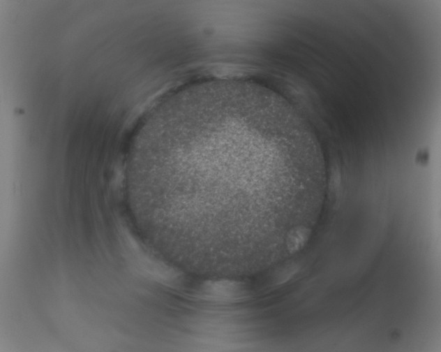 X0000113160367200910161250