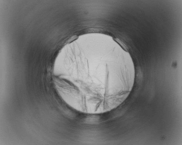 X0000113160369200910161250