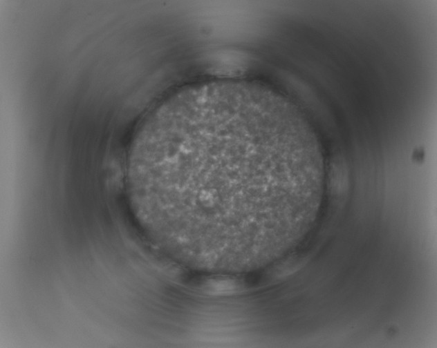 X0000113160370200910161250