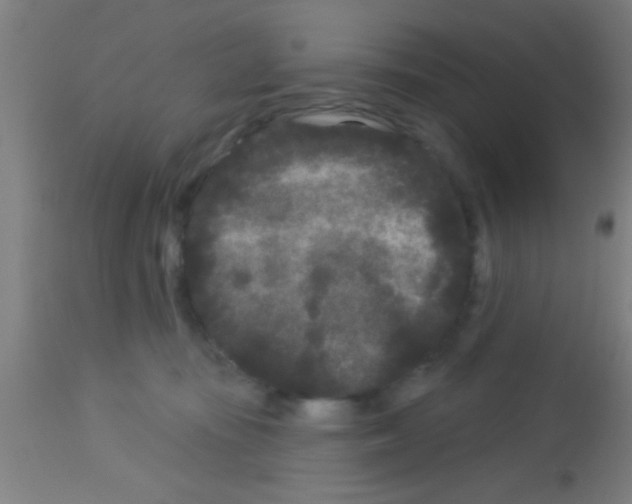 X0000113160371200910161250