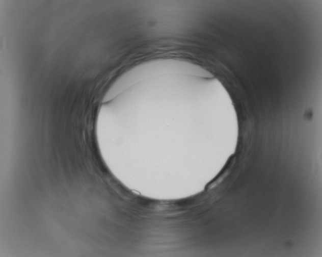 X0000113160372200910161250