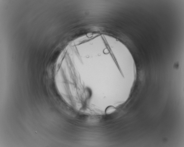 X0000113160373200910161250