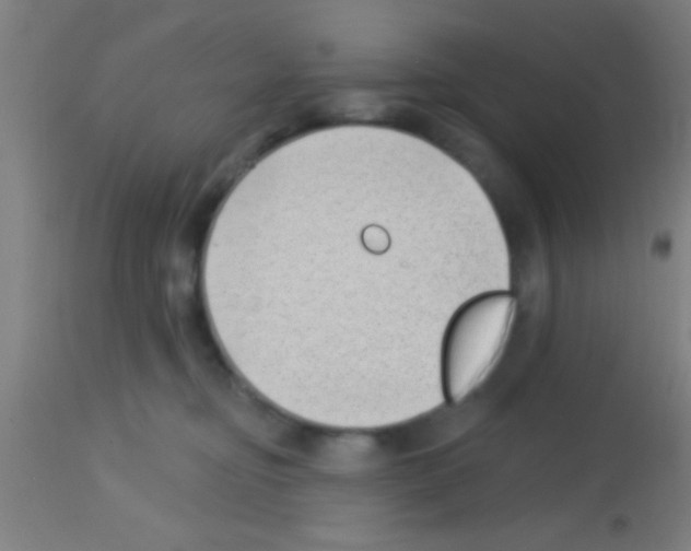 X0000113160374200910161250