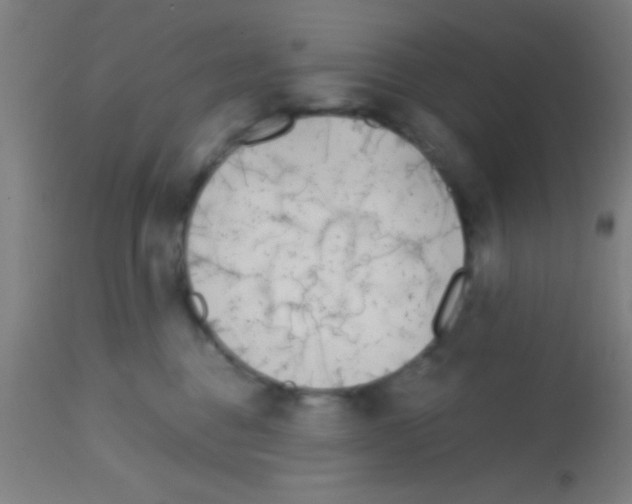 X0000113160376200910161250