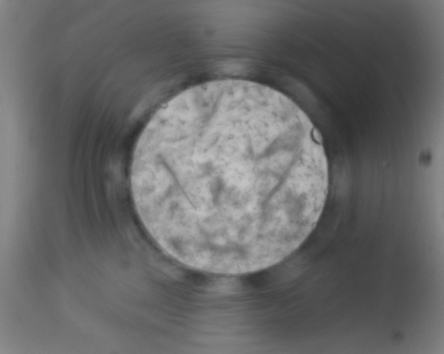 X0000113160377200910161250