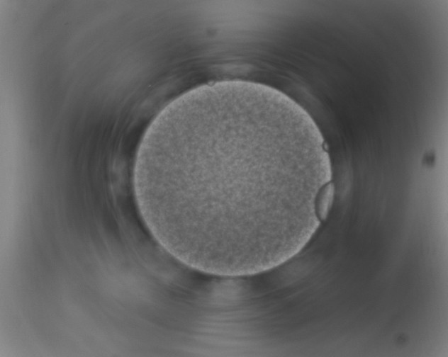 X0000113160378200910161250