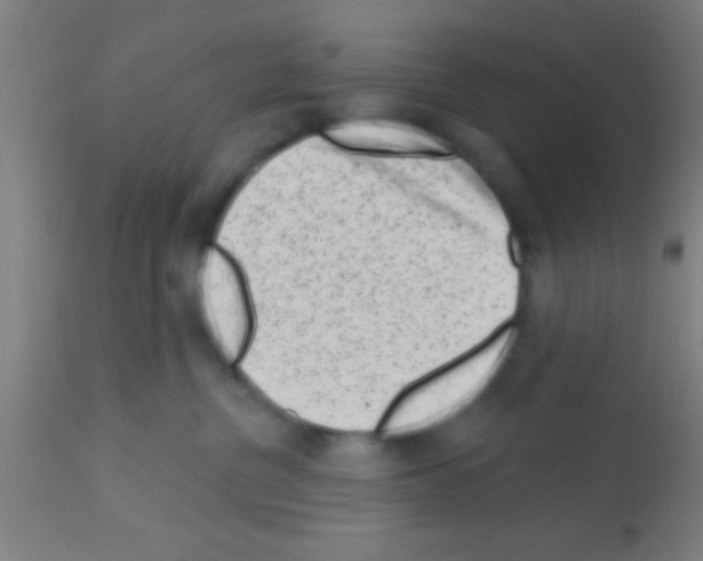 X0000113160380200910161250