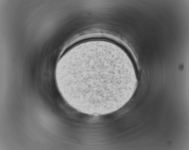 X0000113160382200910161250