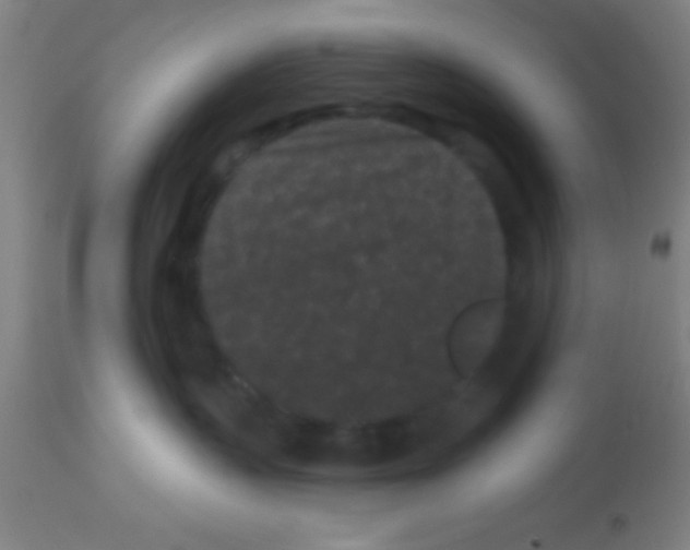 X0000113160383200910161250