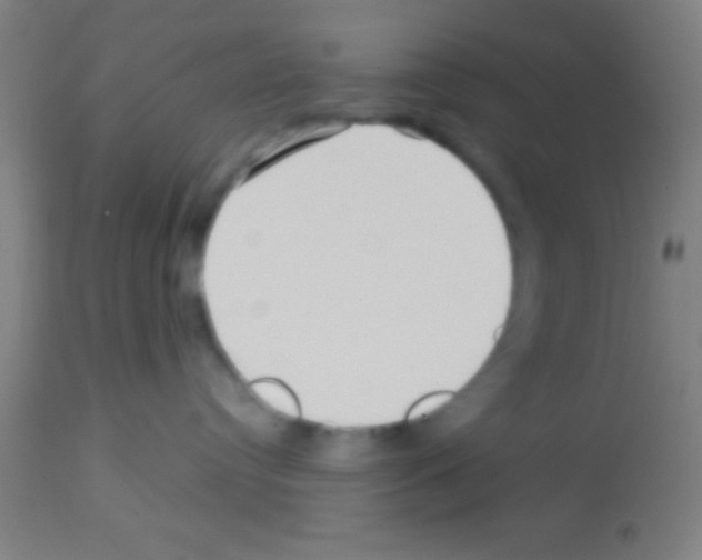 X0000113160384200910161250