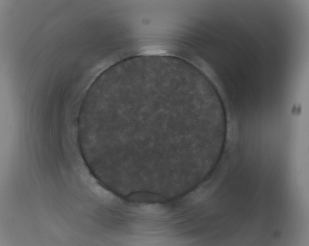 X0000113160385200910161249