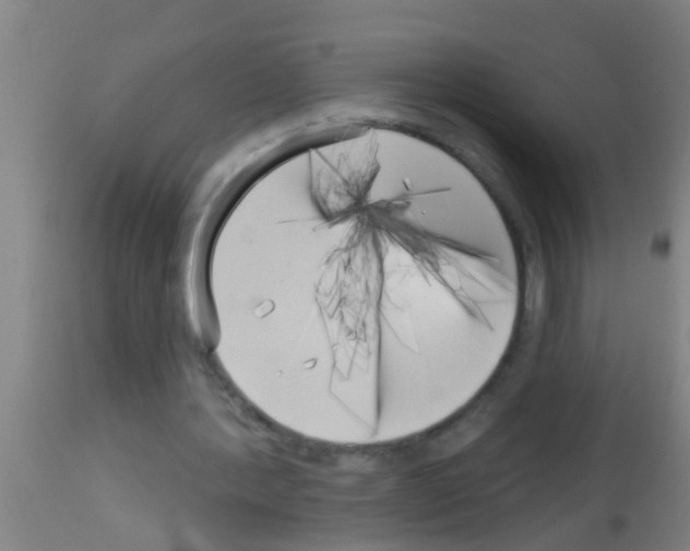 X0000113160388200910161249