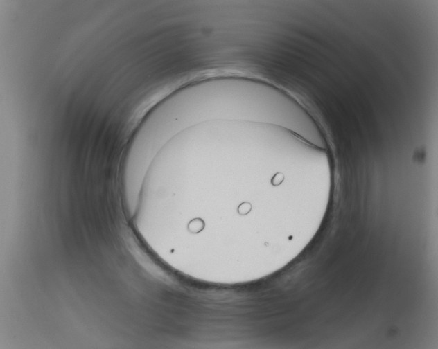 X0000113160389200910161249