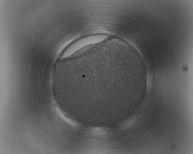 X0000113160390200910161249